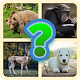 Guess The Animal - Quiz Game