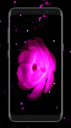 Flower Wallpapers poster 11