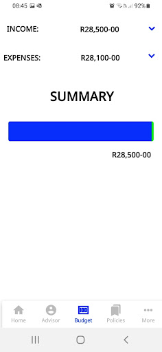 Money-Wize Screen 3