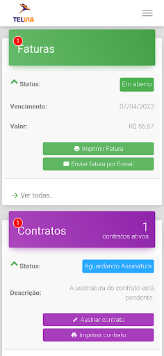 Telvia Internet Screen 2