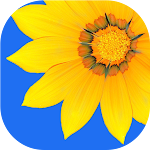 Cover Image of Télécharger Gallery  APK