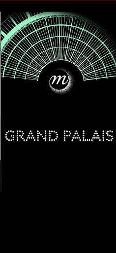 Android application Grand Palais, Paris screenshort
