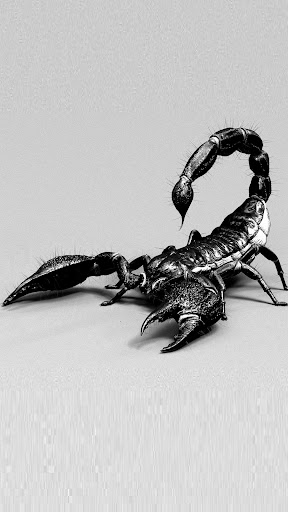 Scorpion Wallpaper Screenshot 1 - AppWisp.com