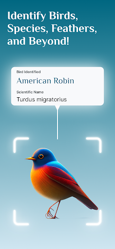 Android application Identify Birds,Bird Identifier screenshort