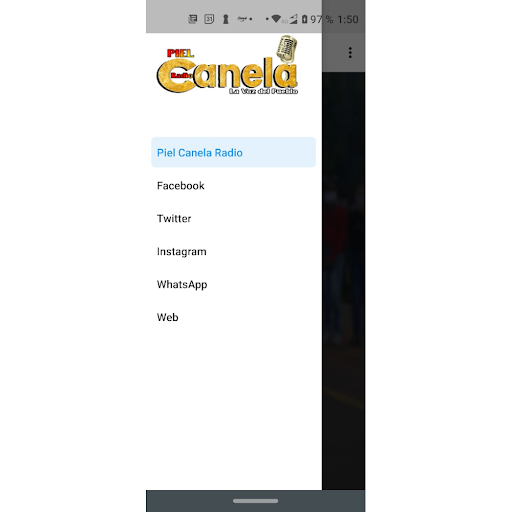 Piel Canela Radio Screen 2
