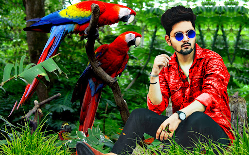Parrot photo editor bird frame Screen 2