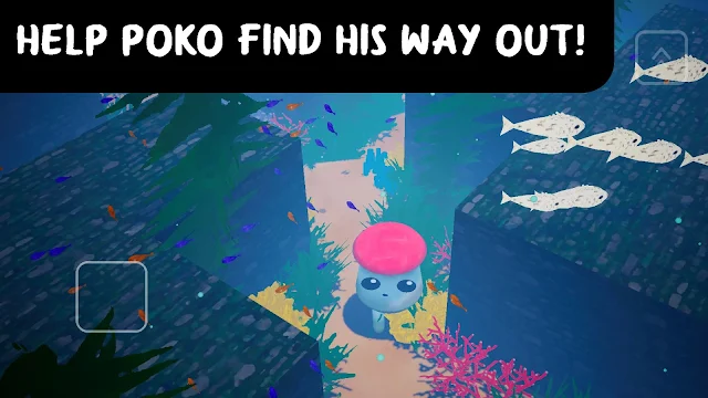 3D Maze: POKO's Adventures
