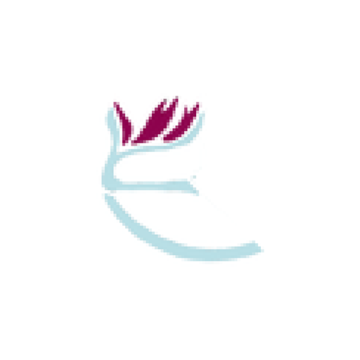 Lifetime Wgt logo