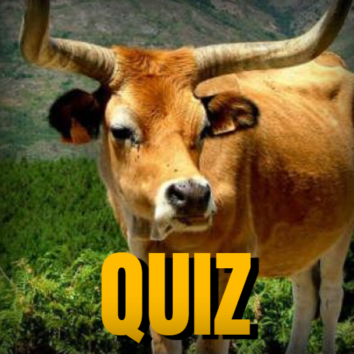 Corno Quiz - Teste de corno! logo