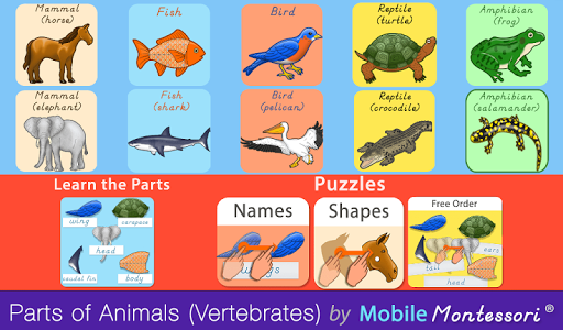 Android application Parts of Animals (Vertebrates) screenshort