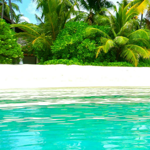 Summer backgrounds