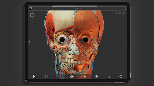 Screenshot 9 Z-Anatomy - Open Source Atlas android