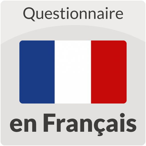 French Test and Questionnaire 4.1 Icon