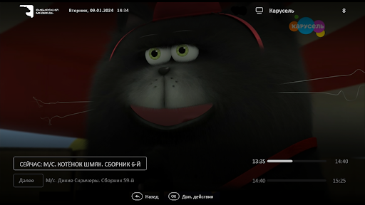 Медведь ТВ Screen 2