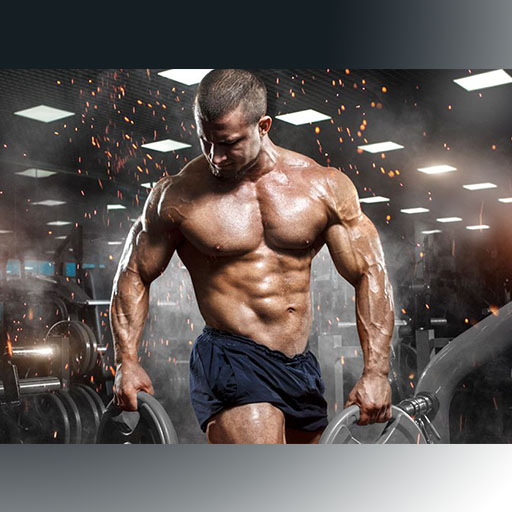 Muscle app free sales