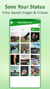 Status & Story Saver Whatsapp