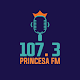 Rádio Princesa 107.3 MHZ ดาวน์โหลดบน Windows