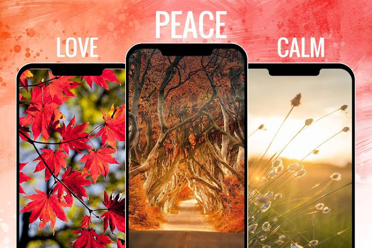 Autumn Fall Wallpapers HD Back - 1.0 - (Android)