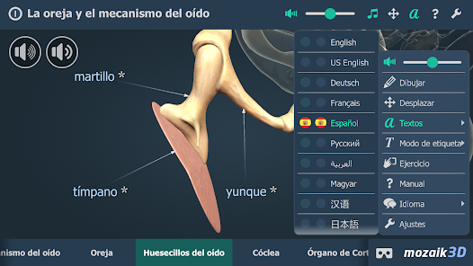 Imágen 3 El oído humano en 3D android