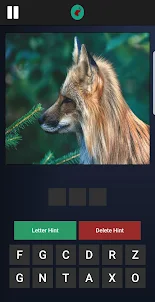 Guess The Animals
