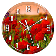 Red Poppy Clock Live Wallpaper  Icon