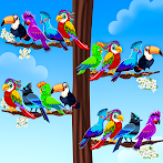 Bird Sort - Colour Puzzle Game