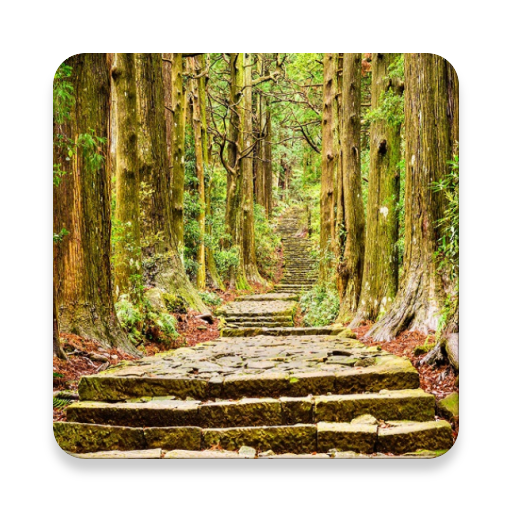 Forest Engineering logo