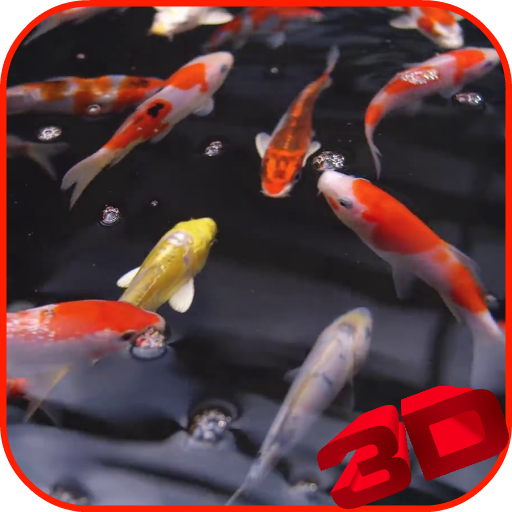 Koi Video Live Wallpaper 7.0 Icon