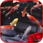 Cover Image of Download Koi Video Live Wallpaper  APK