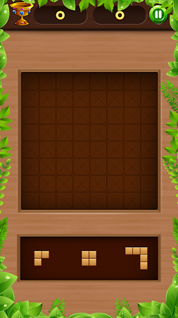 Game screenshot Wood Block Puzzle King mod apk