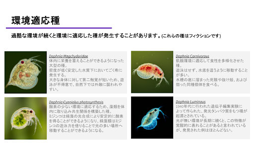 Daphnia Simulator：光センサーでミジンコ育成