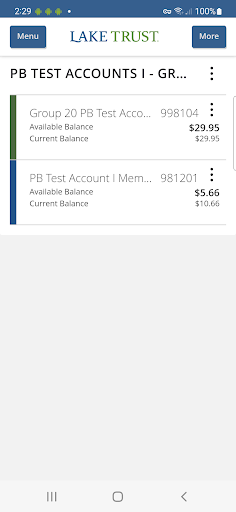 Lake Trust Business Banking Screen 2