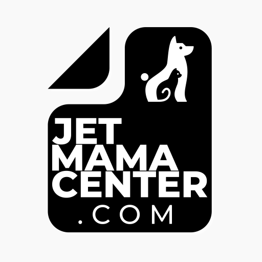JET MAMA CENTER Download on Windows
