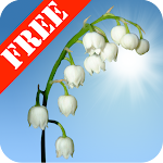 Cover Image of Télécharger Lily of the Valley Free  APK