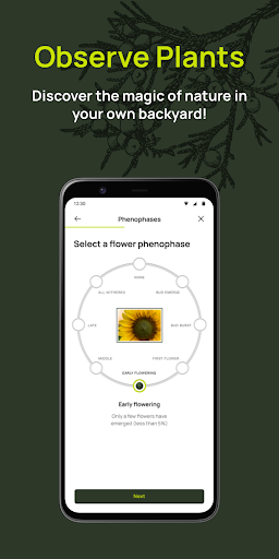 Budburst Screen 3