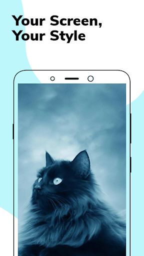 Android application Cute Maine Coon Wallpapers screenshort
