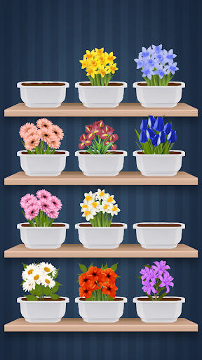 Blossom  Flower Match