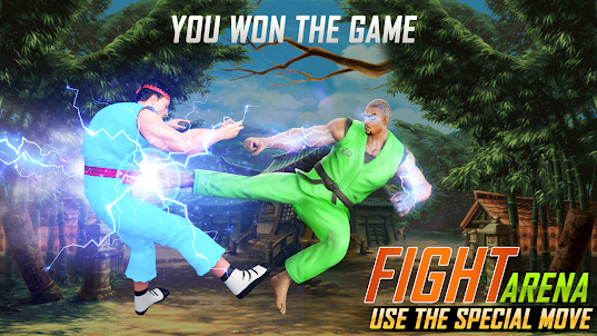 Real 3D Street Fighter Pro