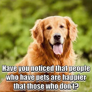 Animal Lover Quotes - Dog Love - Apps on Google Play