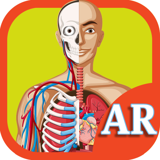 AR Human Organs  Icon