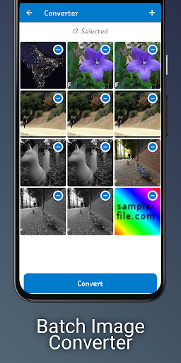 AVIF Image Viewer: AVIF to PNG Screen 3