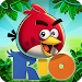 Angry Birds Rio Icon