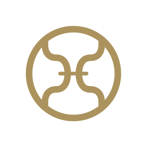 ViX PAULAHERMANNY logo