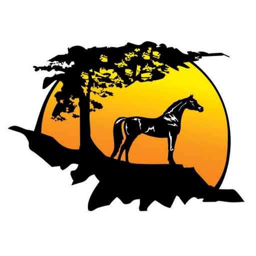 Shadowtree Equine Tack & Acces logo