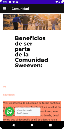 Sweeven Screen 3