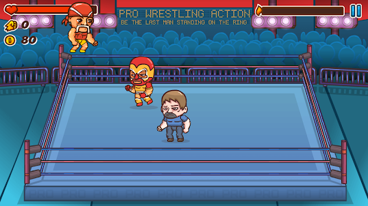 Pro Wrestling Action