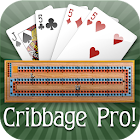 Cribbage Pro Online! 2.7.34