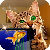 Cat: aquarium toy icon