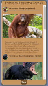 Endangered animals by Miguel
