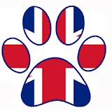 VETERANS WITH DOGS icon